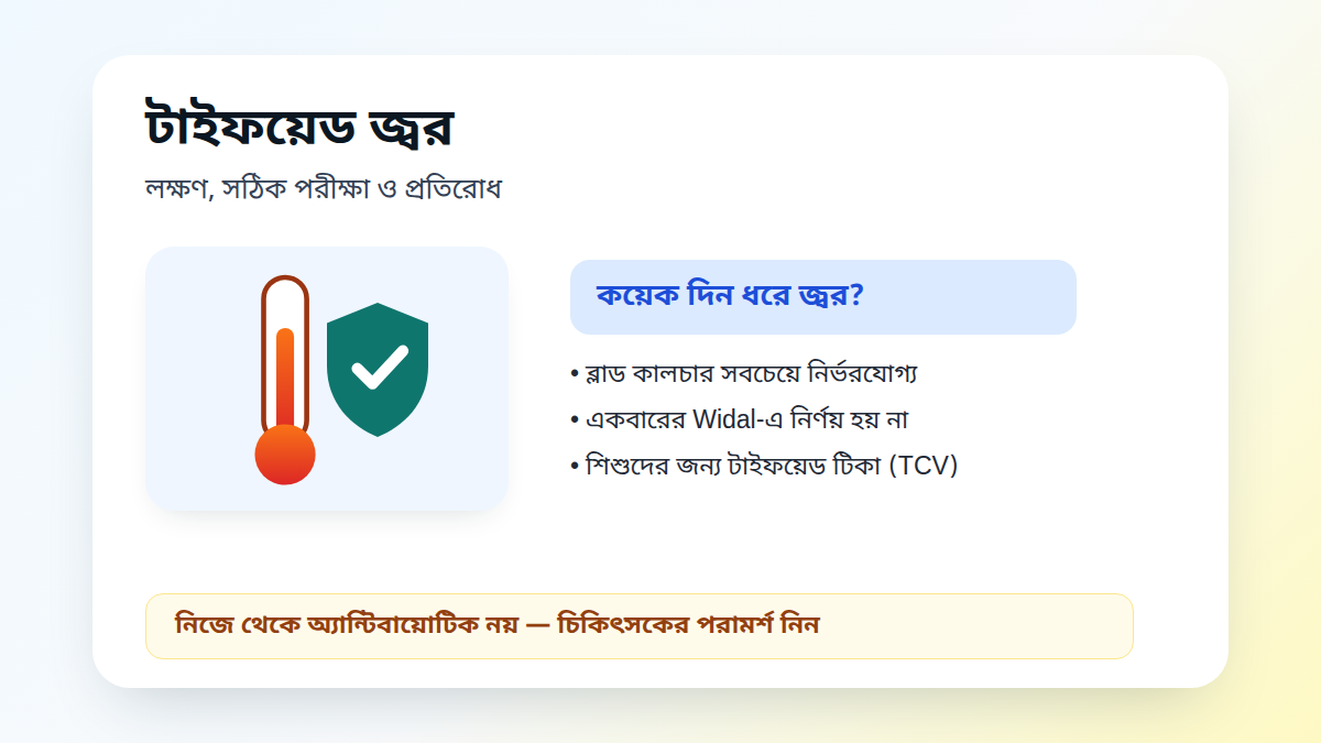 টাইফয়েড জ্বরের লক্ষণ ও পরীক্ষা নিয়ে শিক্ষামূলক গাইডের ছবি